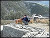 Excursi�n y visita al Centro de recuperaci�n de Aves el 5 de noviembre de 2005