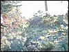 Excursi�n y visita al Centro de recuperaci�n de Aves el 5 de noviembre de 2005