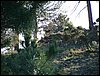Excursi�n y visita al Centro de recuperaci�n de Aves el 5 de noviembre de 2005