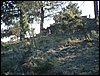 Excursi�n y visita al Centro de recuperaci�n de Aves el 5 de noviembre de 2005