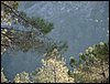 Excursi�n y visita al Centro de recuperaci�n de Aves el 5 de noviembre de 2005