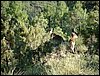 Excursi�n y visita al Centro de recuperaci�n de Aves el 5 de noviembre de 2005