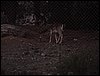 Excursi�n y visita al Centro de recuperaci�n de Aves el 5 de noviembre de 2005