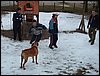 Excursi�n Tropa y Escultas al Majadijar - 14 de enero de 2006