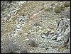 Excursi�n Tropa y Escultas al Majadijar - 14 de enero de 2006