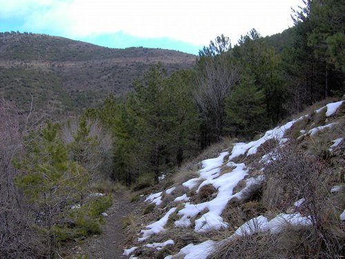 Tropa y Unidad en el Pozo de la Nieve - Sierra de Baza - 18 febrero 2006 - Foto 12