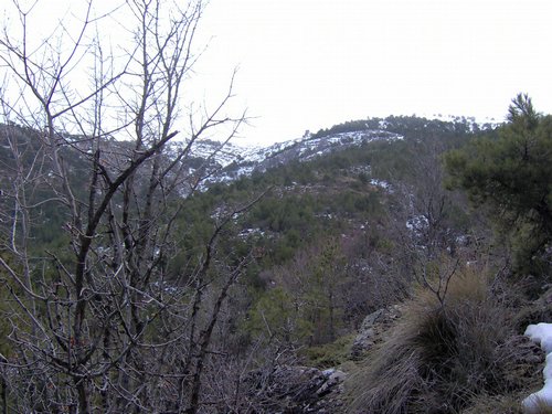 Tropa y Unidad en el Pozo de la Nieve - Sierra de Baza - 18 febrero 2006 - Foto 15