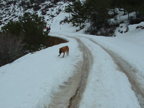 Tropa y Unidad en el Pozo de la Nieve - Sierra de Baza - 18 febrero 2006 - Foto 44