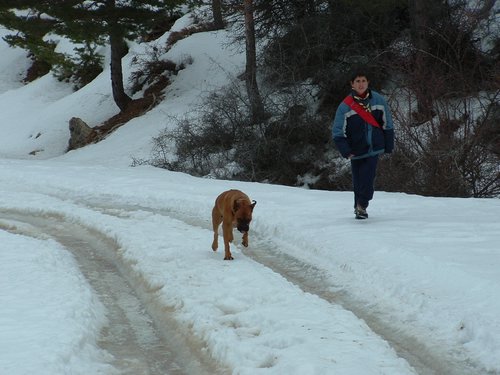 Tropa y Unidad en el Pozo de la Nieve - Sierra de Baza - 18 febrero 2006 - Foto 46