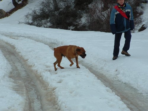 Tropa y Unidad en el Pozo de la Nieve - Sierra de Baza - 18 febrero 2006 - Foto 47