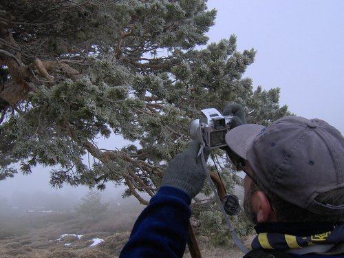 Tropa y Unidad en el Pozo de la Nieve - Sierra de Baza - 18 febrero 2006 - Foto 60