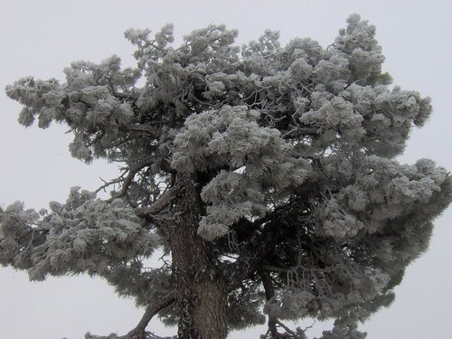 Tropa y Unidad en el Pozo de la Nieve - Sierra de Baza - 18 febrero 2006 - Foto 62