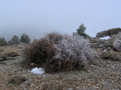 Tropa y Unidad en el Pozo de la Nieve - Sierra de Baza - 18 febrero 2006 - Foto 63