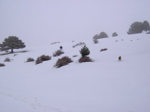 Tropa y Unidad en el Pozo de la Nieve - Sierra de Baza - 18 febrero 2006 - Foto 69