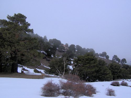 Tropa y Unidad en el Pozo de la Nieve - Sierra de Baza - 18 febrero 2006 - Foto 71