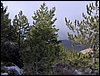 Tropa y Unidad en el Pozo de la Nieve - Sierra de Baza - 18 febrero 2006