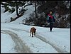 Tropa y Unidad en el Pozo de la Nieve - Sierra de Baza - 18 febrero 2006