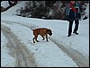 Tropa y Unidad en el Pozo de la Nieve - Sierra de Baza - 18 febrero 2006