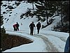 Tropa y Unidad en el Pozo de la Nieve - Sierra de Baza - 18 febrero 2006