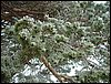 Tropa y Unidad en el Pozo de la Nieve - Sierra de Baza - 18 febrero 2006