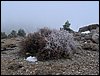 Tropa y Unidad en el Pozo de la Nieve - Sierra de Baza - 18 febrero 2006