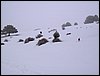 Tropa y Unidad en el Pozo de la Nieve - Sierra de Baza - 18 febrero 2006