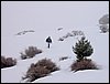 Tropa y Unidad en el Pozo de la Nieve - Sierra de Baza - 18 febrero 2006