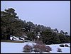 Tropa y Unidad en el Pozo de la Nieve - Sierra de Baza - 18 febrero 2006