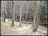 Tropa y Unidad en el Pozo de la Nieve - Sierra de Baza - 18 febrero 2006