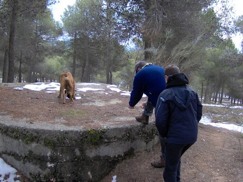 Excursi�n a la Cueva de los M�rmoles en la Sierra de Hu�tor - 25 de febrero de 2006 - Foto 7