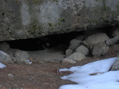 Excursin a la Cueva de los Mrmoles en la Sierra de Hutor - 25 de febrero de 2006 - Foto 9