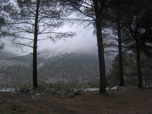 Excursi�n a la Cueva de los M�rmoles en la Sierra de Hu�tor - 25 de febrero de 2006 - Foto 10