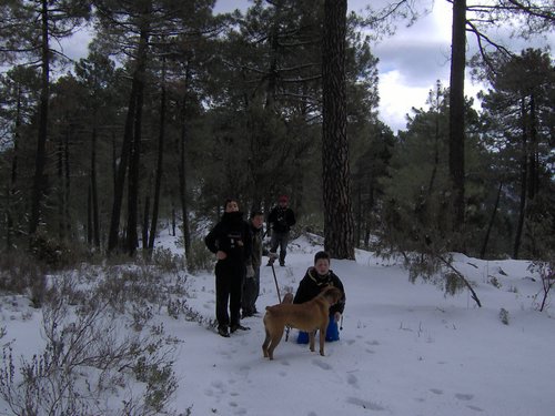 Excursi�n a la Cueva de los M�rmoles en la Sierra de Hu�tor - 25 de febrero de 2006 - Foto 25