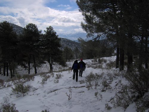 Excursi�n a la Cueva de los M�rmoles en la Sierra de Hu�tor - 25 de febrero de 2006 - Foto 29