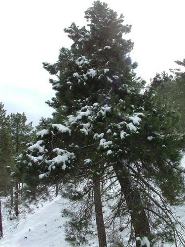 Excursi�n a la Cueva de los M�rmoles en la Sierra de Hu�tor - 25 de febrero de 2006 - Foto 42