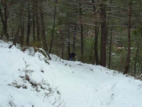 Excursi�n a la Cueva de los M�rmoles en la Sierra de Hu�tor - 25 de febrero de 2006 - Foto 76