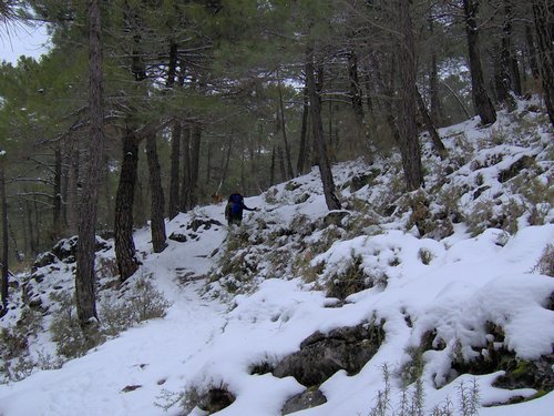 Excursi�n a la Cueva de los M�rmoles en la Sierra de Hu�tor - 25 de febrero de 2006 - Foto 78