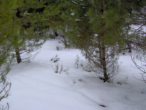 Excursi�n a la Cueva de los M�rmoles en la Sierra de Hu�tor - 25 de febrero de 2006 - Foto 80