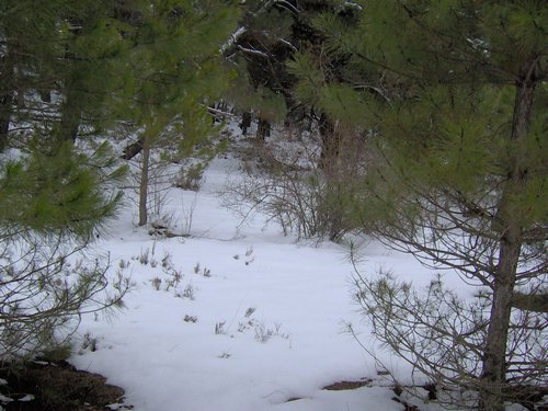 Excursi�n a la Cueva de los M�rmoles en la Sierra de Hu�tor - 25 de febrero de 2006 - Foto 81