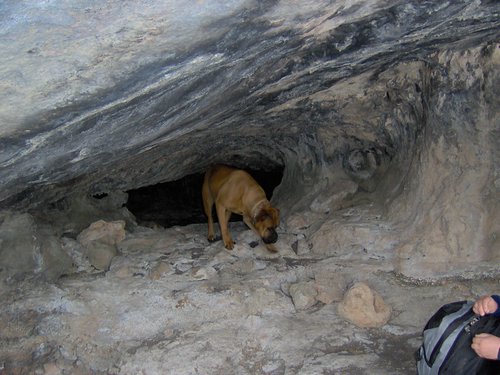 Excursin a la Cueva de los Mrmoles en la Sierra de Hutor - 25 de febrero de 2006 - Foto 87