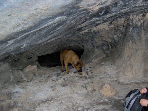 Excursi�n a la Cueva de los M�rmoles en la Sierra de Hu�tor - 25 de febrero de 2006 - Foto 87