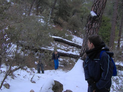 Excursin a la Cueva de los Mrmoles en la Sierra de Hutor - 25 de febrero de 2006 - Foto 104
