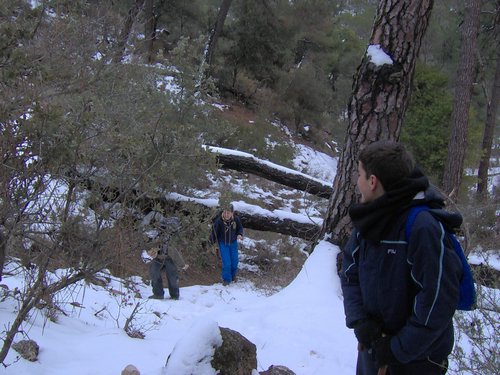 Excursi�n a la Cueva de los M�rmoles en la Sierra de Hu�tor - 25 de febrero de 2006 - Foto 104