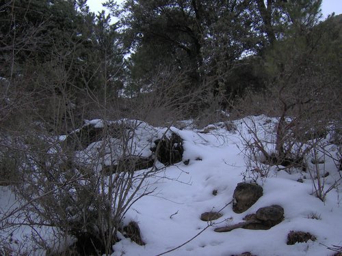 Excursi�n a la Cueva de los M�rmoles en la Sierra de Hu�tor - 25 de febrero de 2006 - Foto 105
