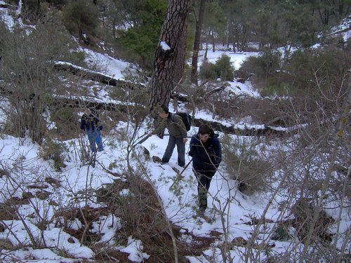 Excursi�n a la Cueva de los M�rmoles en la Sierra de Hu�tor - 25 de febrero de 2006 - Foto 106