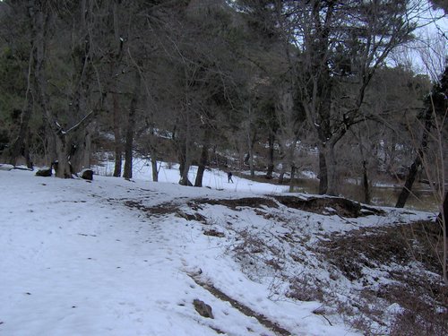 Excursi�n a la Cueva de los M�rmoles en la Sierra de Hu�tor - 25 de febrero de 2006 - Foto 111
