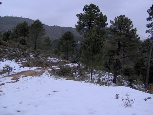 Excursi�n a la Cueva de los M�rmoles en la Sierra de Hu�tor - 25 de febrero de 2006 - Foto 113