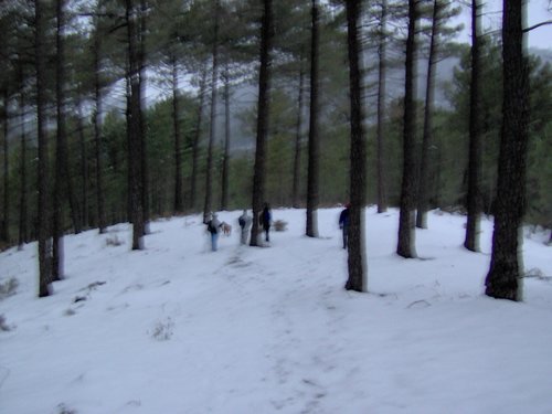 Excursi�n a la Cueva de los M�rmoles en la Sierra de Hu�tor - 25 de febrero de 2006 - Foto 126