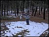 Excursi�n a la Cueva de los M�rmoles en la Sierra de Hu�tor - 25 de febrero de 2006
