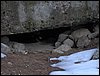 Excursi�n a la Cueva de los M�rmoles en la Sierra de Hu�tor - 25 de febrero de 2006